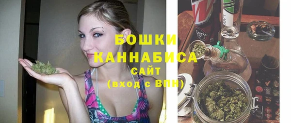 гашик Коряжма