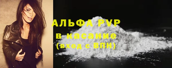гашик Коряжма