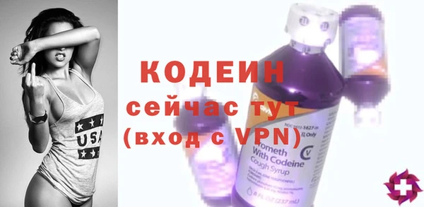 прущий лед Костерёво