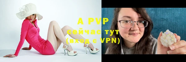 дмт Корсаков