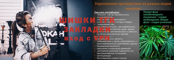 прущий лед Костерёво