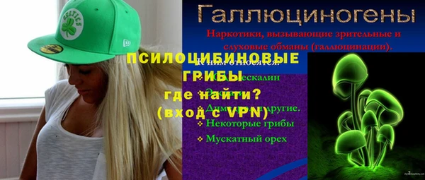 гашик Коряжма